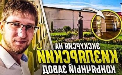 Катанга 2. Борзый тантоид