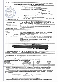 Сертификат - Коршун-2