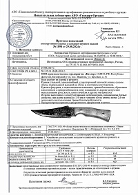 Сертификат - Клык-2 художественное оформление