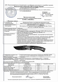 Сертификат - Бекас-2 художественное оформление